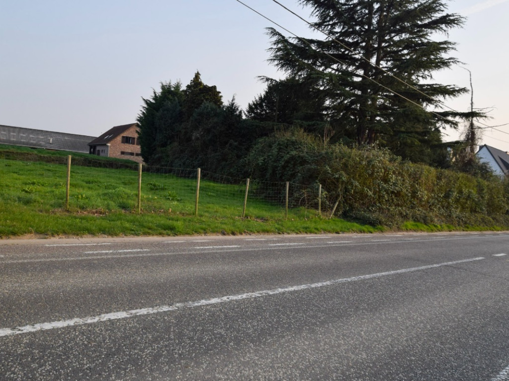 Groot Overlaar - 148 - - 3300