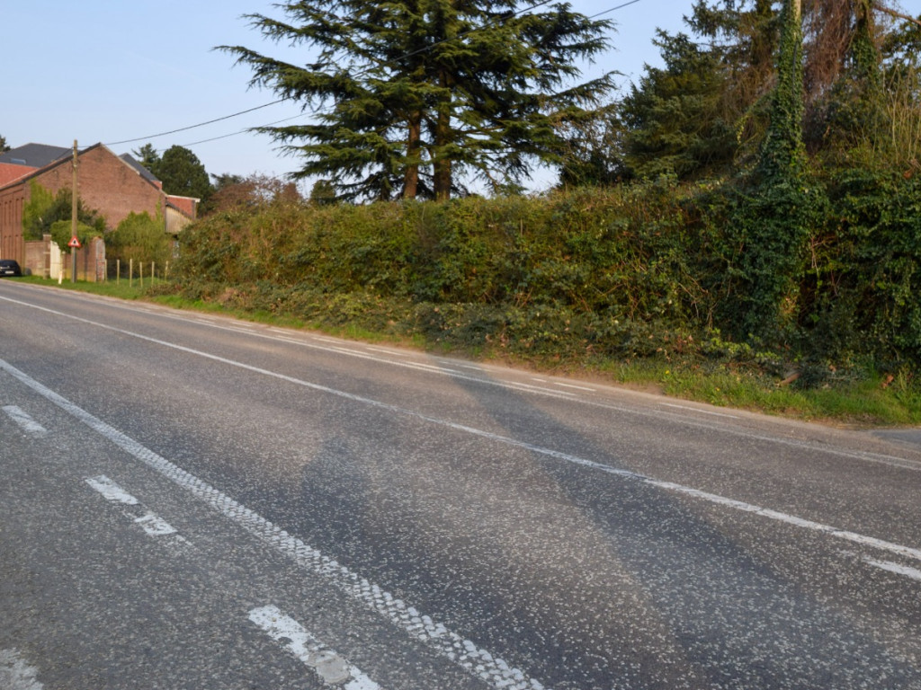 Groot Overlaar - 146 - - 3300