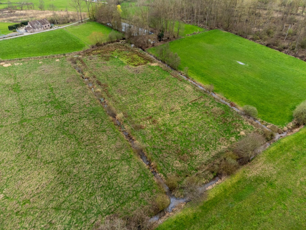 Hooiendonkstraat - - - 2801