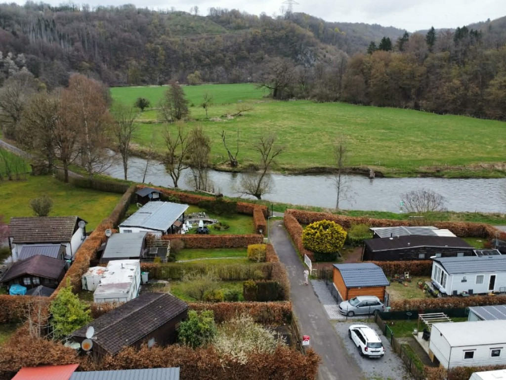 Tier de Rinze - 37 - 165 - 6940