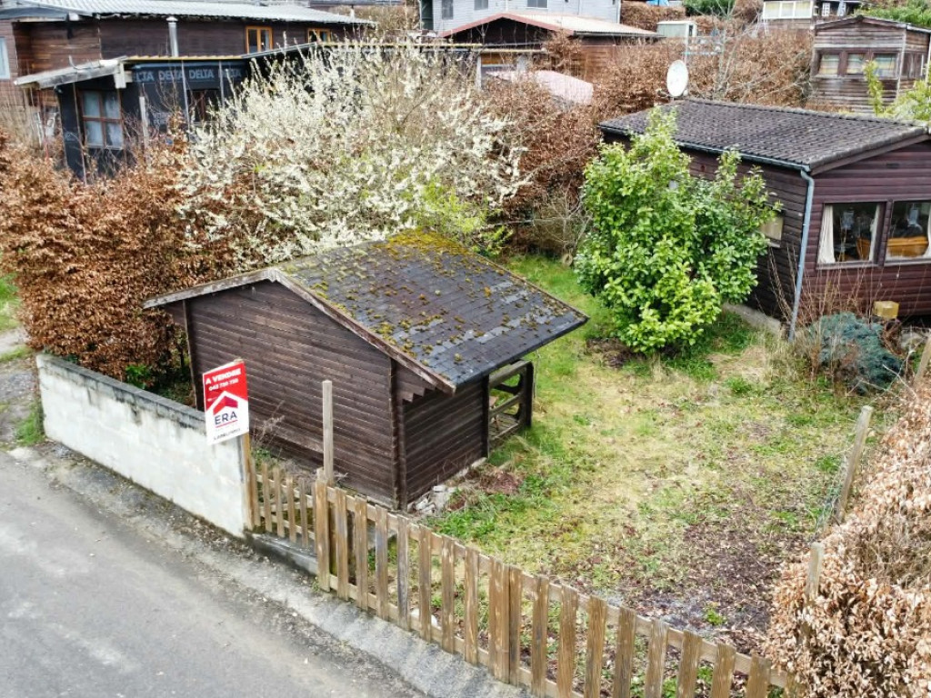 Tier de Rinze - 37 - 165 - 6940