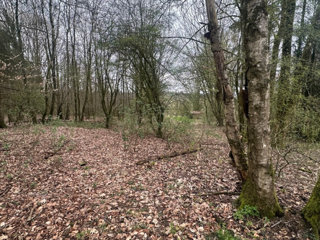 Rue de Liherin - 0 - - 5 - 6670