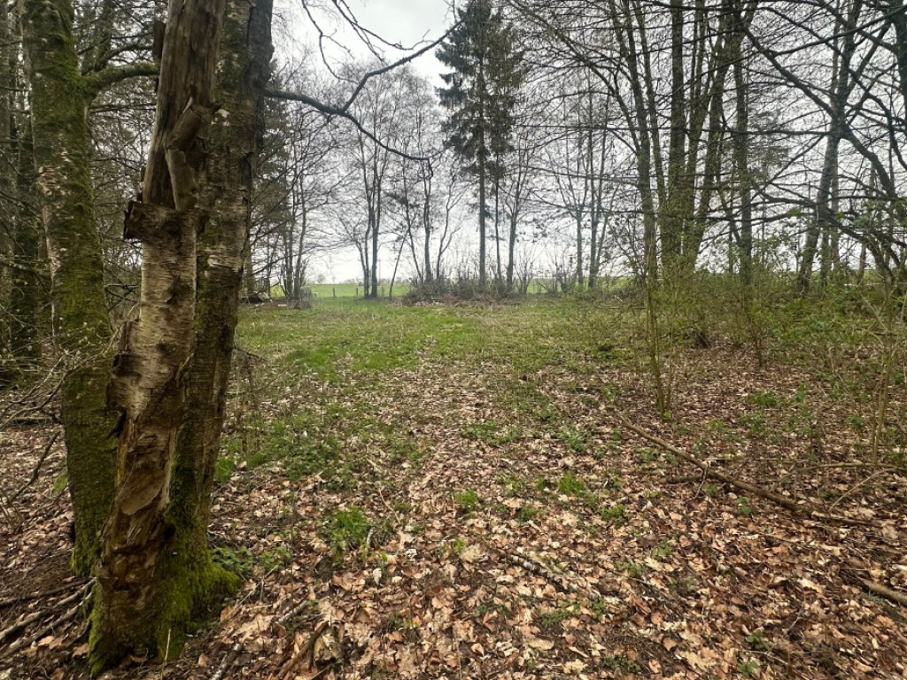 Rue de Liherin - 0 - - 5 - 6670