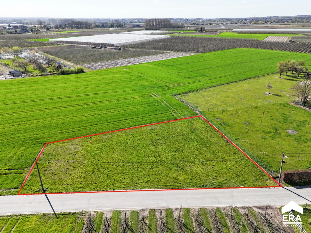 Slaapstraat - zn - - 3800