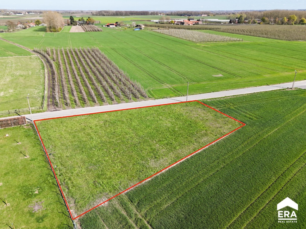 Slaapstraat - zn - - 3800