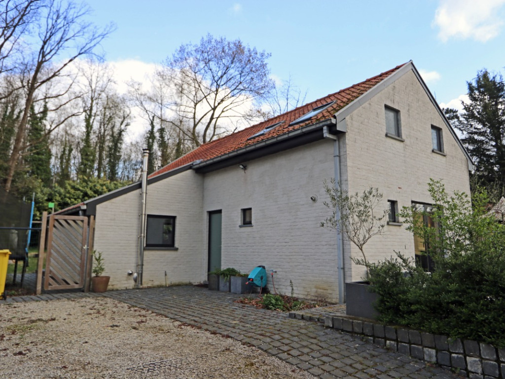 Kaaskorf - 35 - - 3390