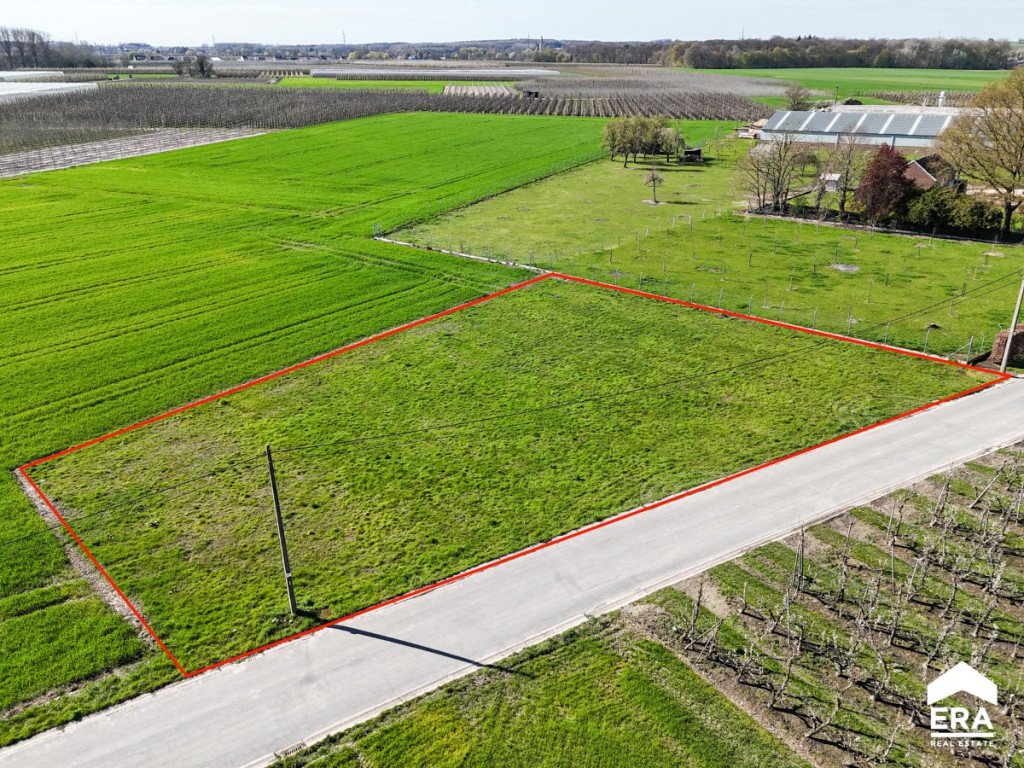 Slaapstraat - zn - - 3800