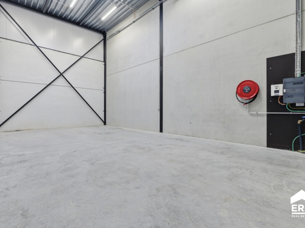 Nelekouter - 41 - 3.1 - 8800