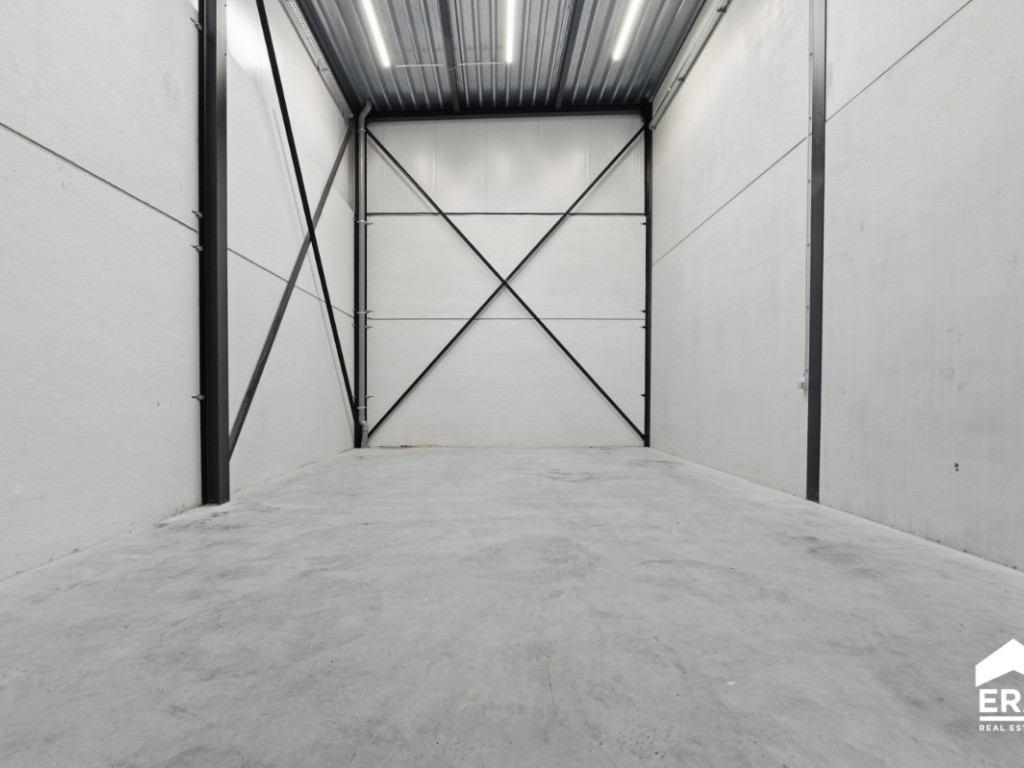 Nelekouter - 41 - 3.1 - 8800