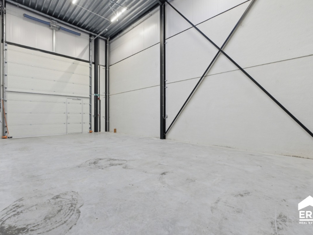 Nelekouter - 41 - 3.1 - 8800