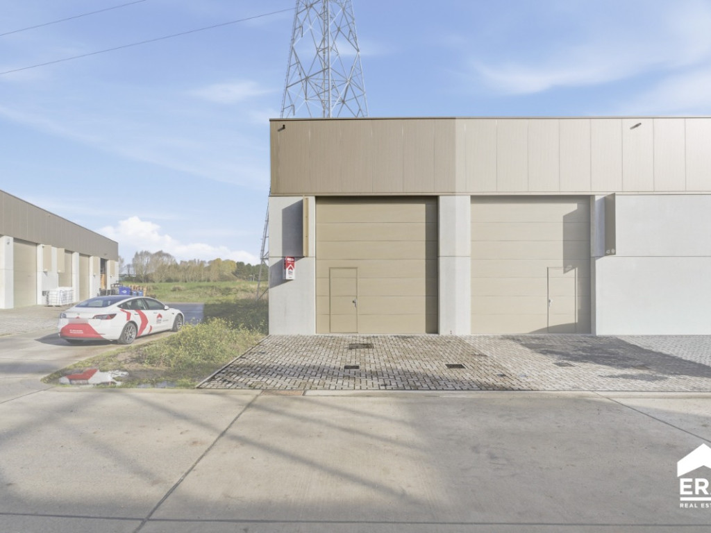 Nelekouter - 41 - 3.1 - 8800