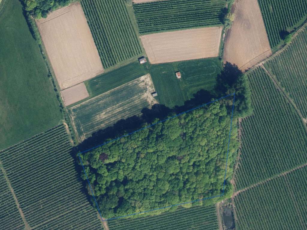 Gebrandhofstraat - z.n. - - 3545