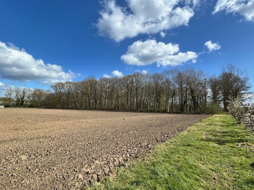 Gebrandhofstraat - z.n. - - 3545
