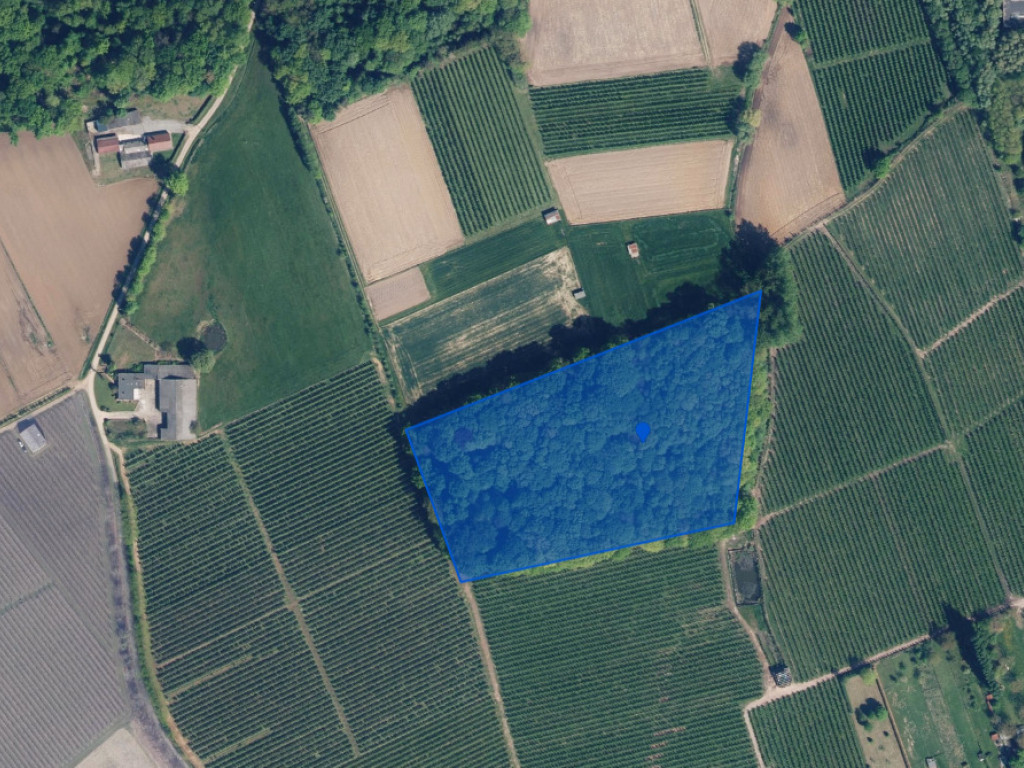 Gebrandhofstraat - z.n. - - 3545