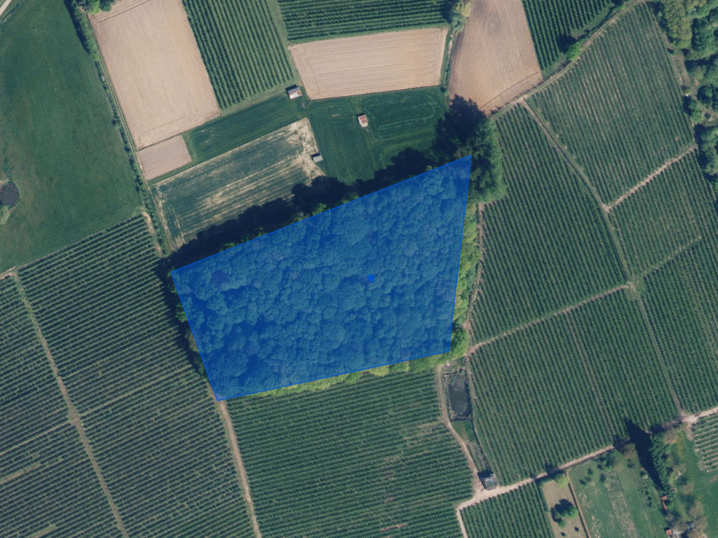 Gebrandhofstraat - z.n. - - 3545