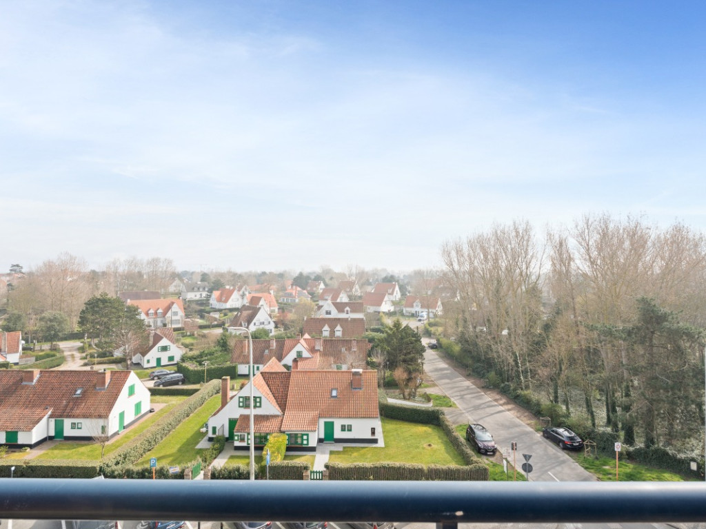 Goethalsstraat - 12 05.02 - Blauwvoet - 8620