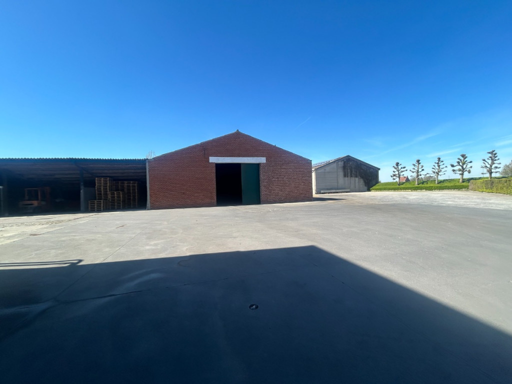 Molenstraat - 7 - L1 - 8980