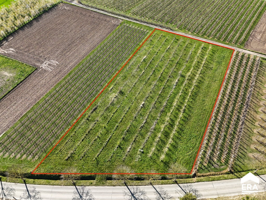 Egovenstraat - zn - - 3800