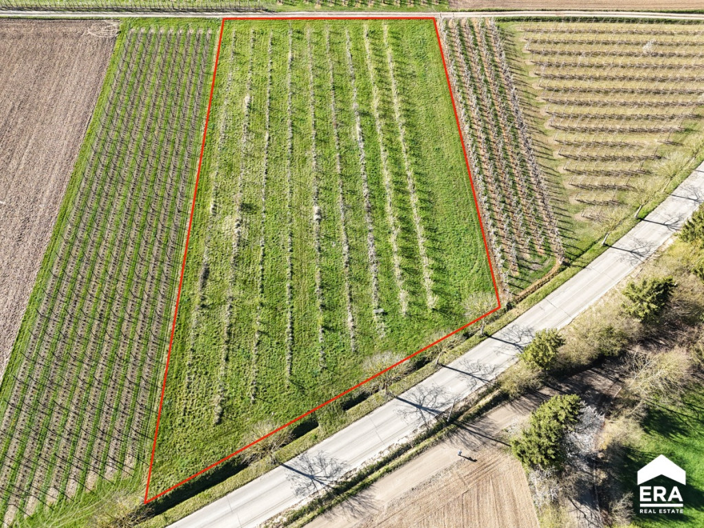 Egovenstraat - zn - - 3800