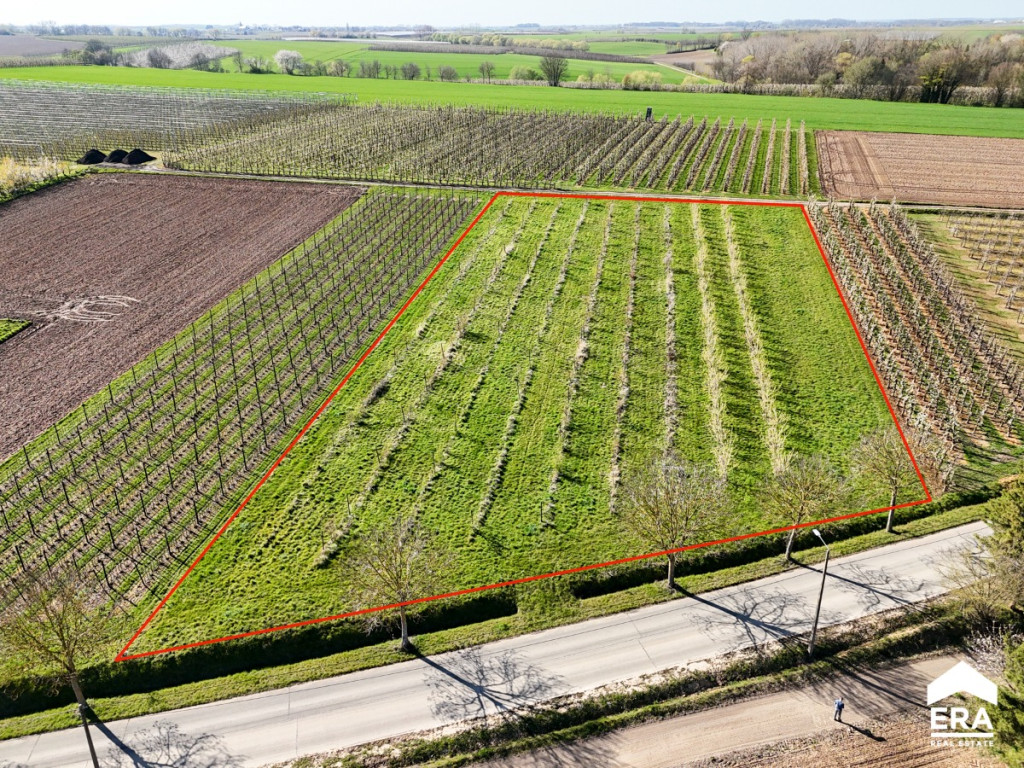 Egovenstraat - zn - - 3800