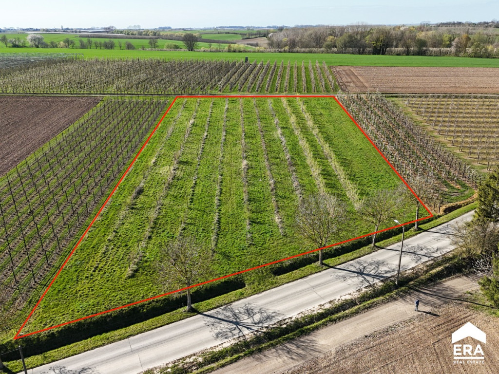 Egovenstraat - zn - - 3800