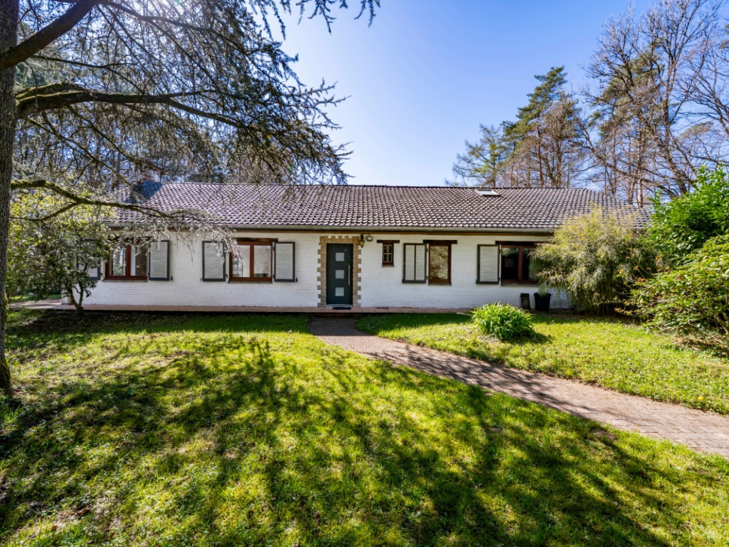 Rue du Chalet - 43 - - 6747