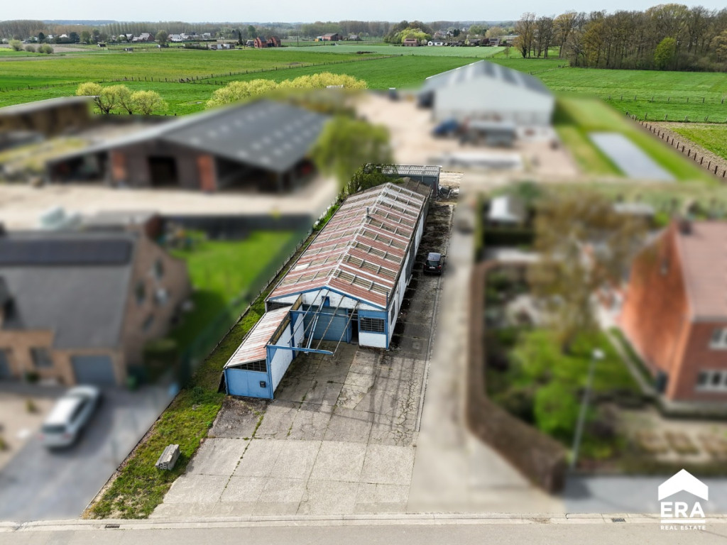 Doornebosstraat - 33B - - 3500