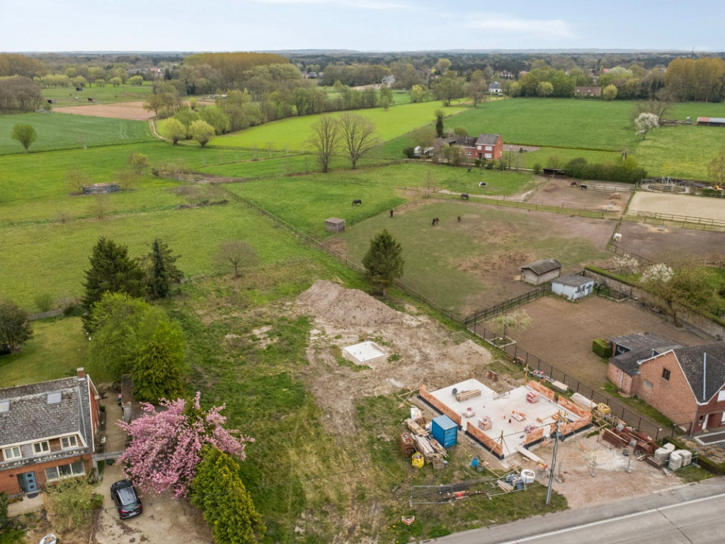 Korte Welvaart - zn - - 3140