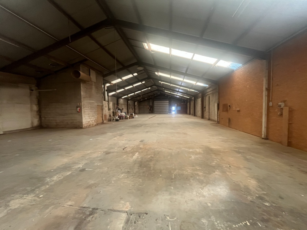 Papegaaistraat - 12 - - 8790