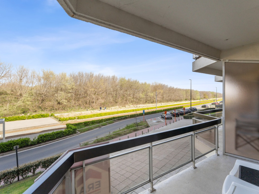 Ruzettelaan - 157 - 412 - 8370