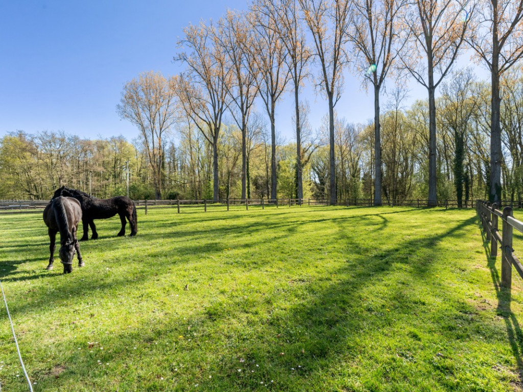 Rosweg - 68B - - 1750