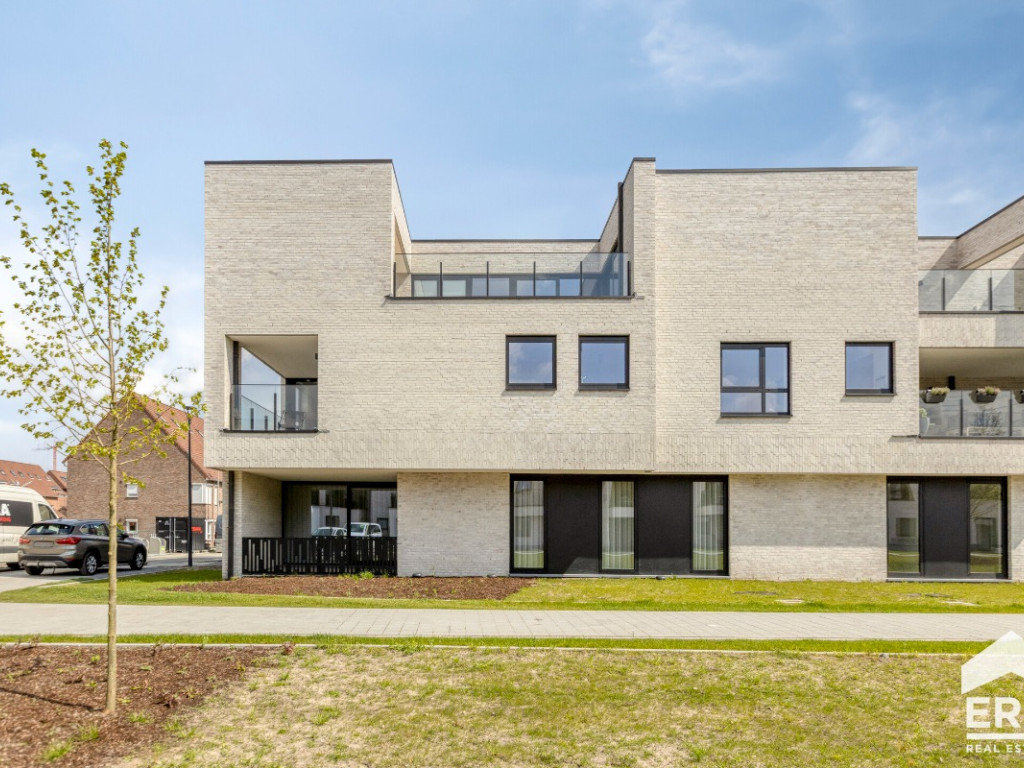 Hezerpad - zn - - B1.13 - 3920