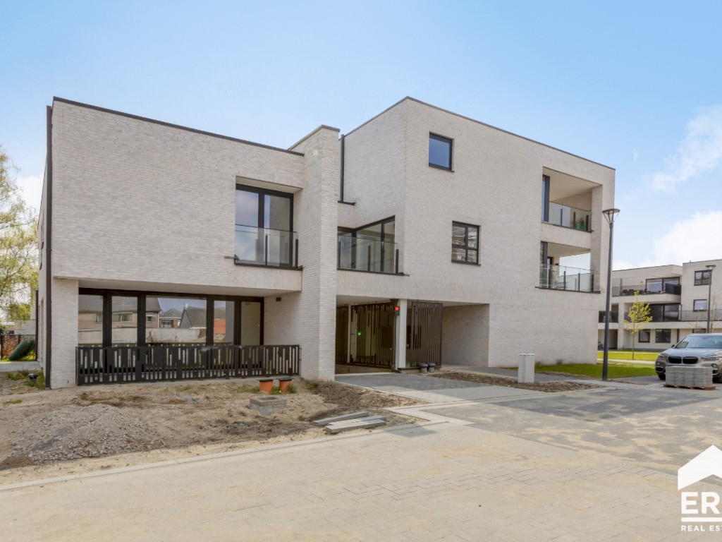 Hezerpad - zn - - B1.12 - 3920