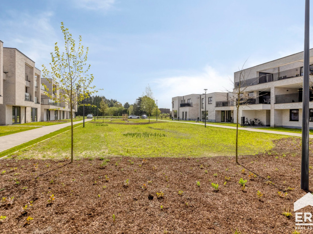 Hezerpad - zn - - B1.13 - 3920