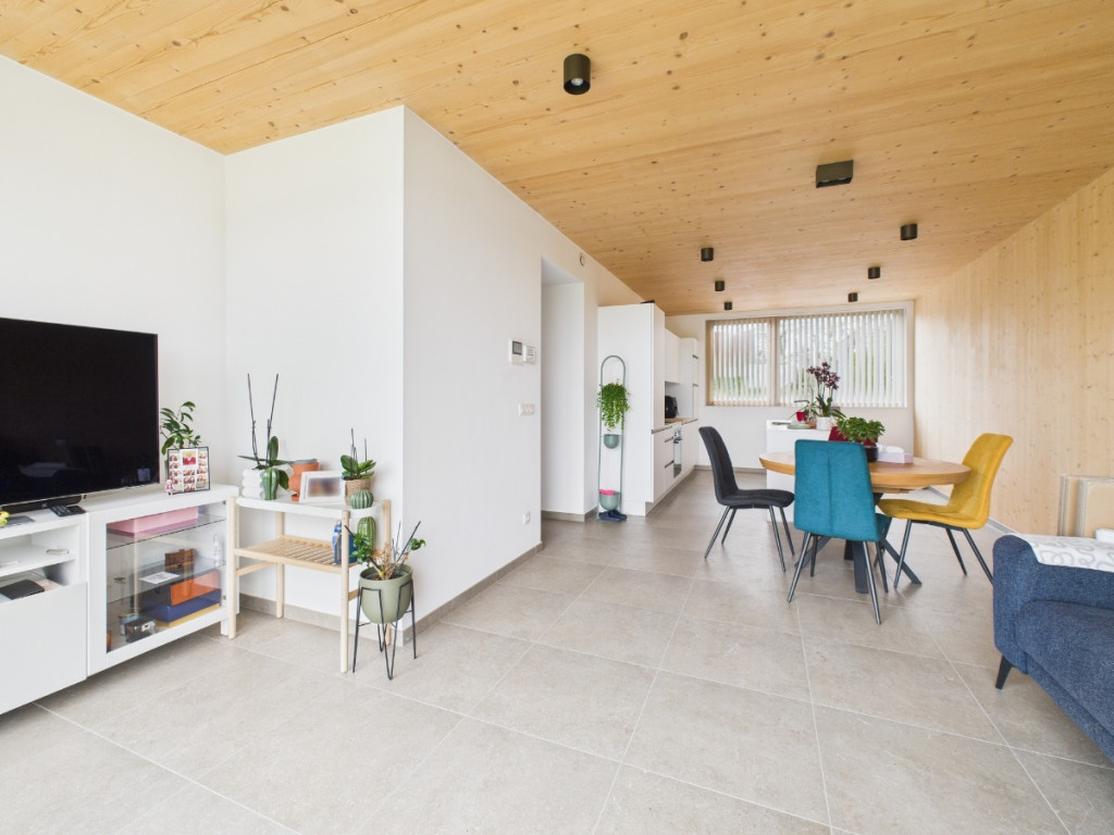 Rue du Vivier - 16 - A11 - 6900