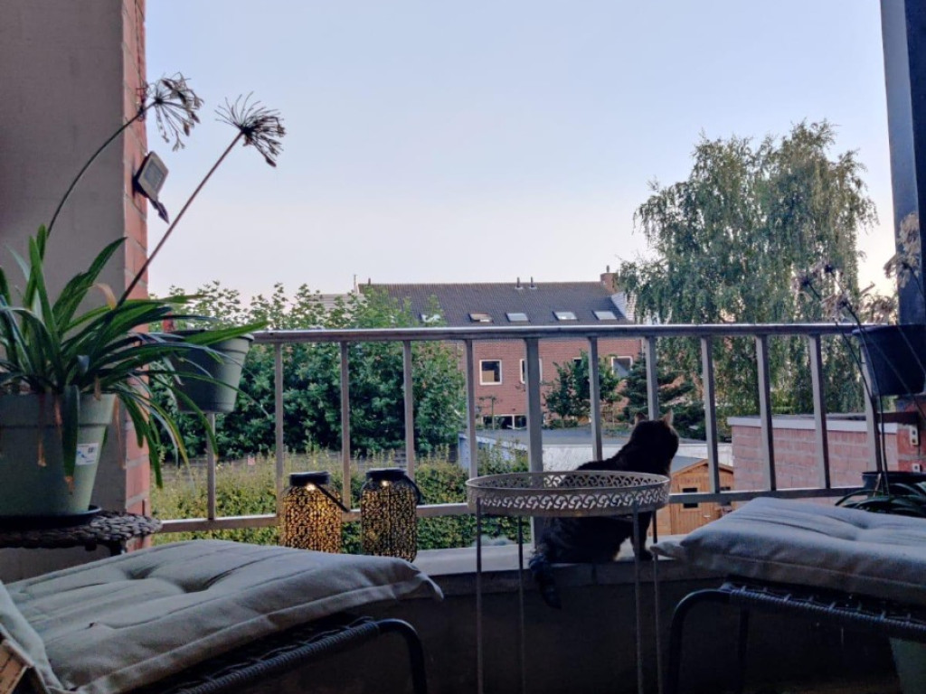 Moerkerkse Steenweg - 103 - 00.03 - 8310