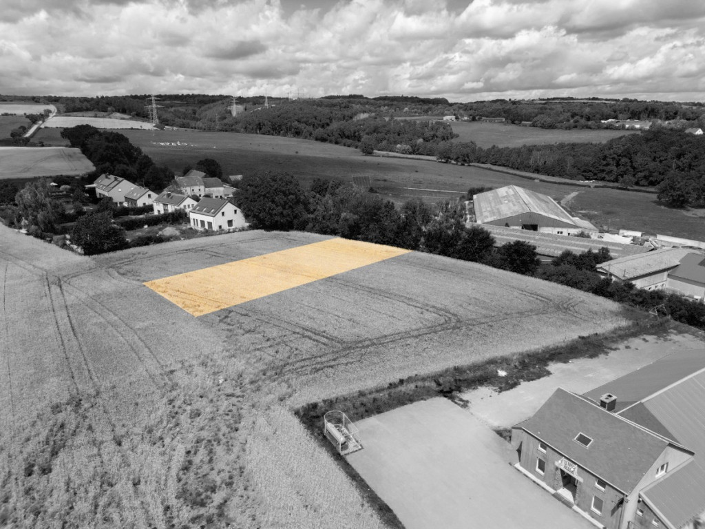 Des blés - 44 - LOT 3 - 6717