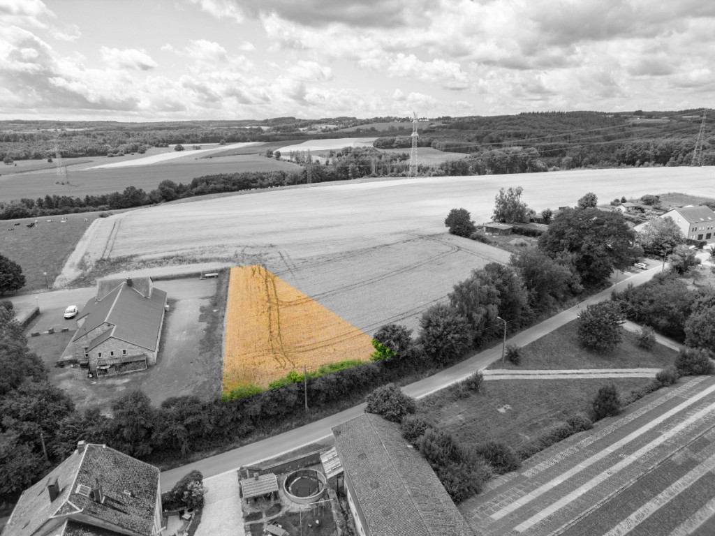 Des blés - 44 - LOT 1 - 6717