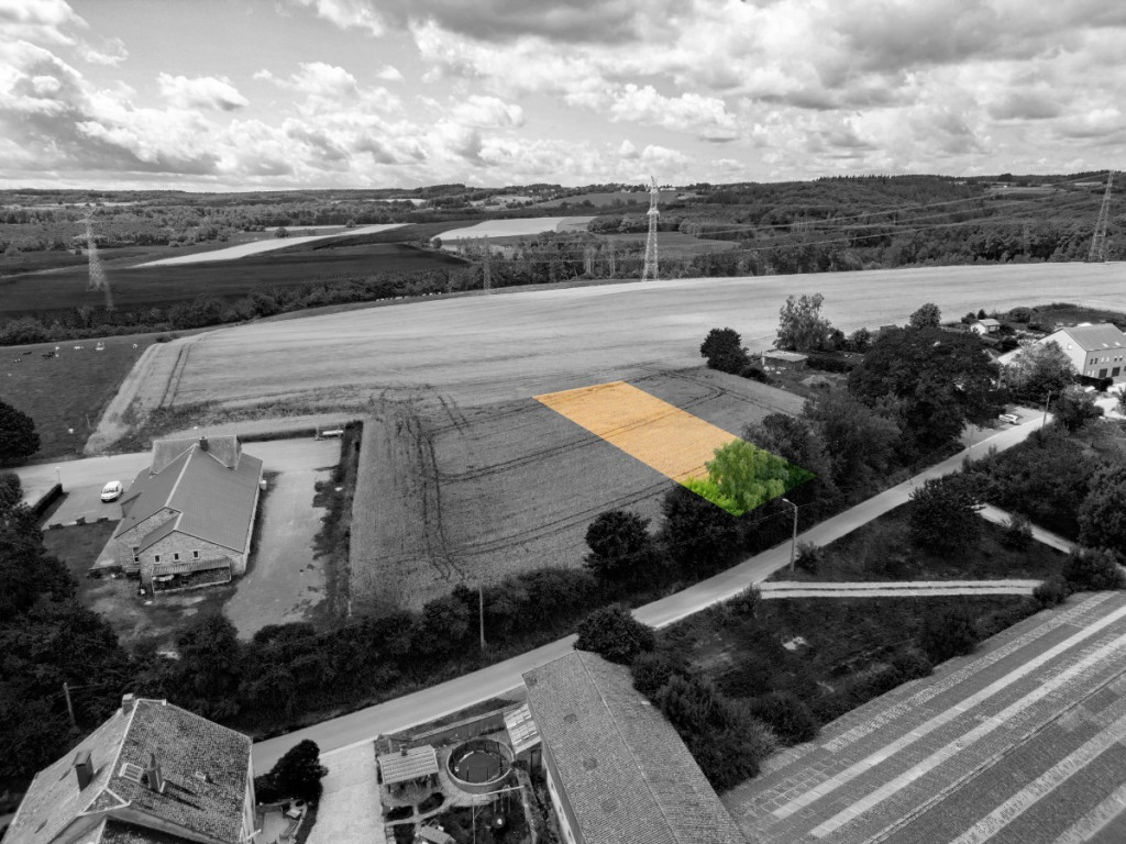 Des blés - 44 - LOT 3 - 6717