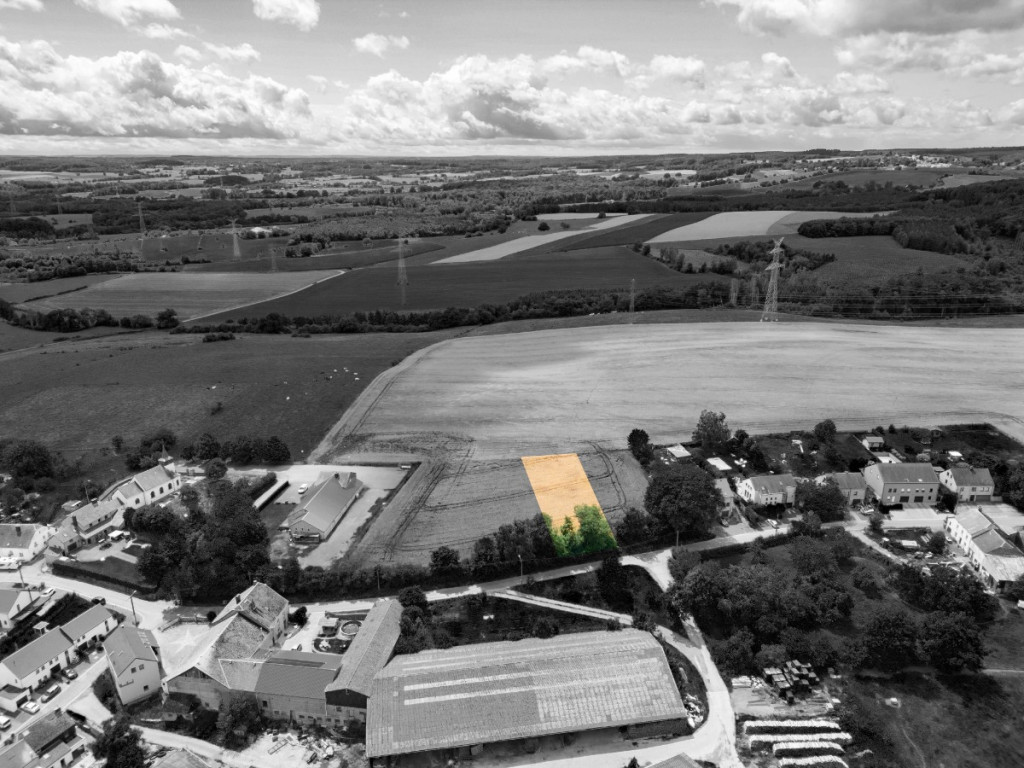 Des blés - 44 - LOT 3 - 6717