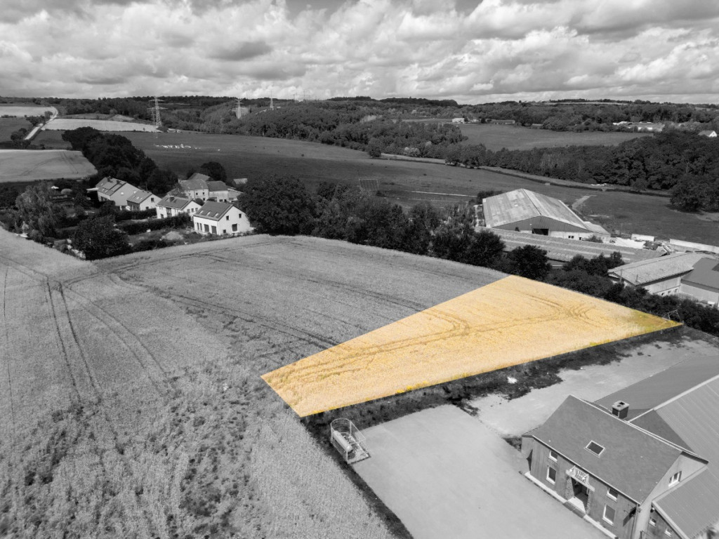 Des blés - 44 - LOT 1 - 6717