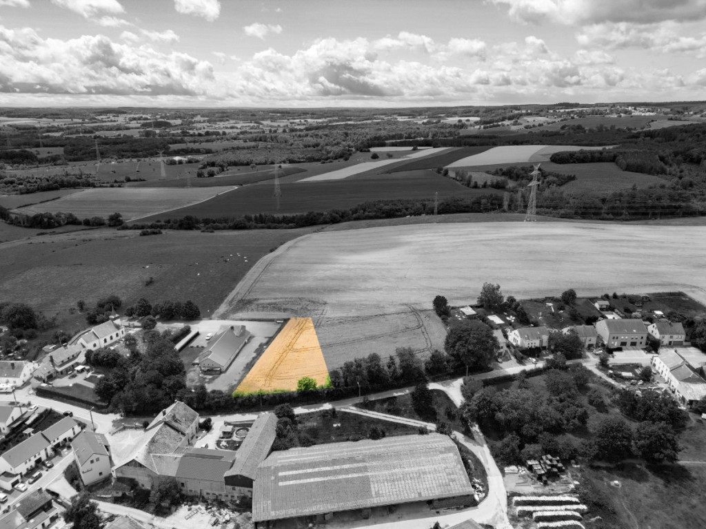 Des blés - 44 - LOT 1 - 6717