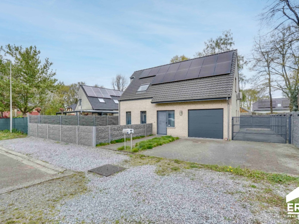 Boekweitveld - 17 - - 3990