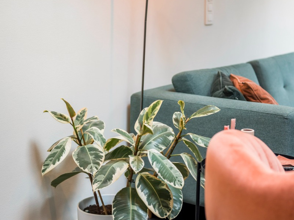 Van Craenenbroeckstraat - 84 - - 9120