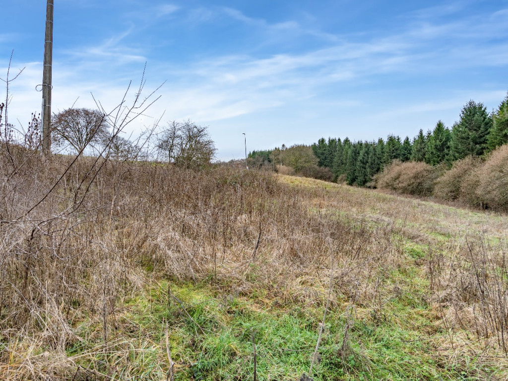Chemin de Florêt - LOT 5 - - 4990