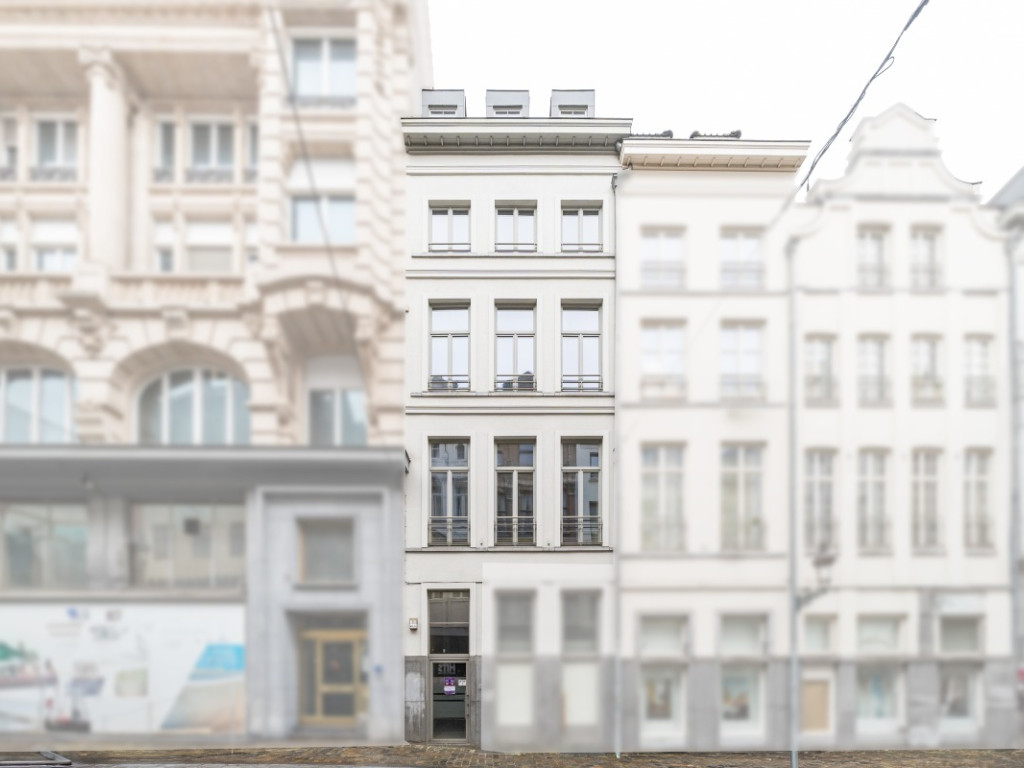 Rue De La Violette - 41 - - 1000