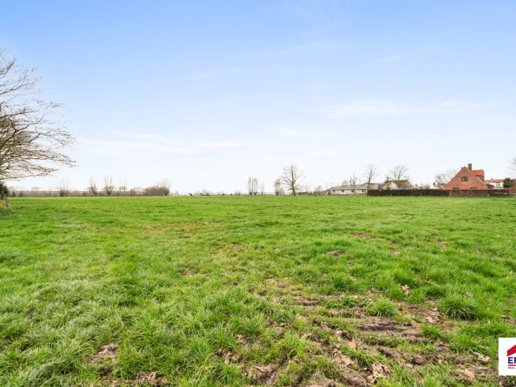 Haringgat - 10+ - - 8340