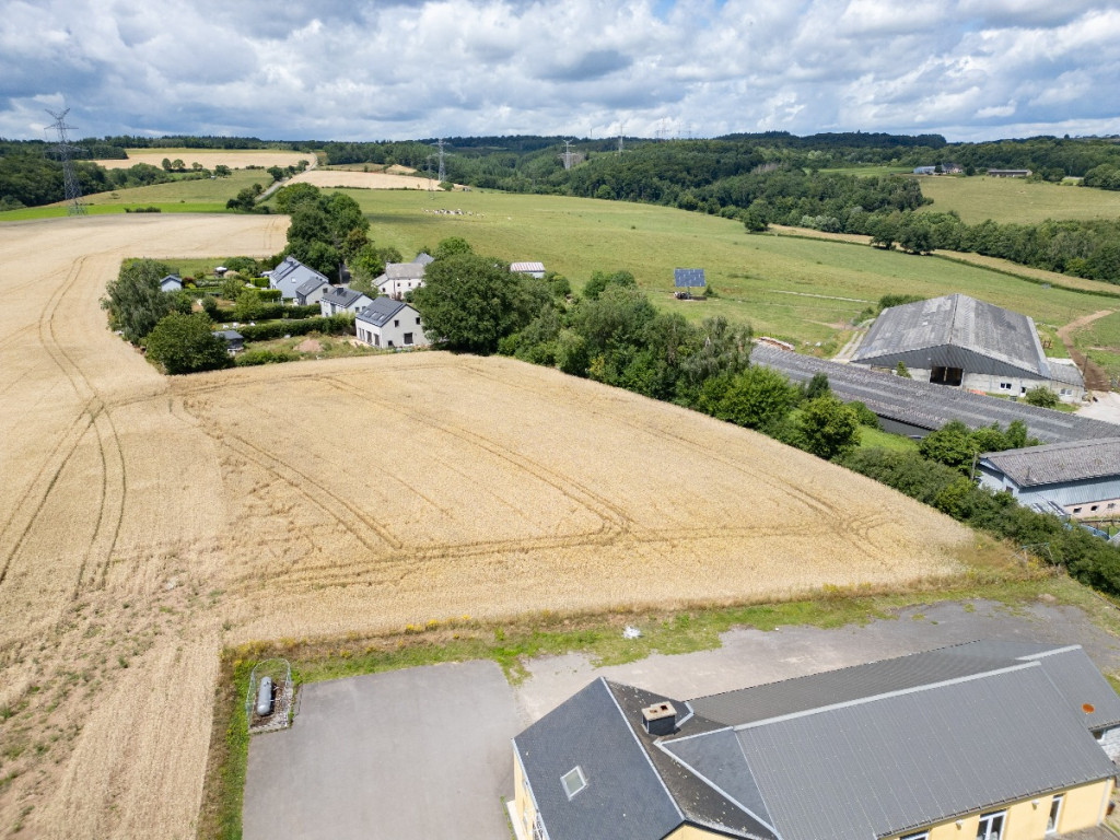 Des blés - 44 - LOT 1 - 6717