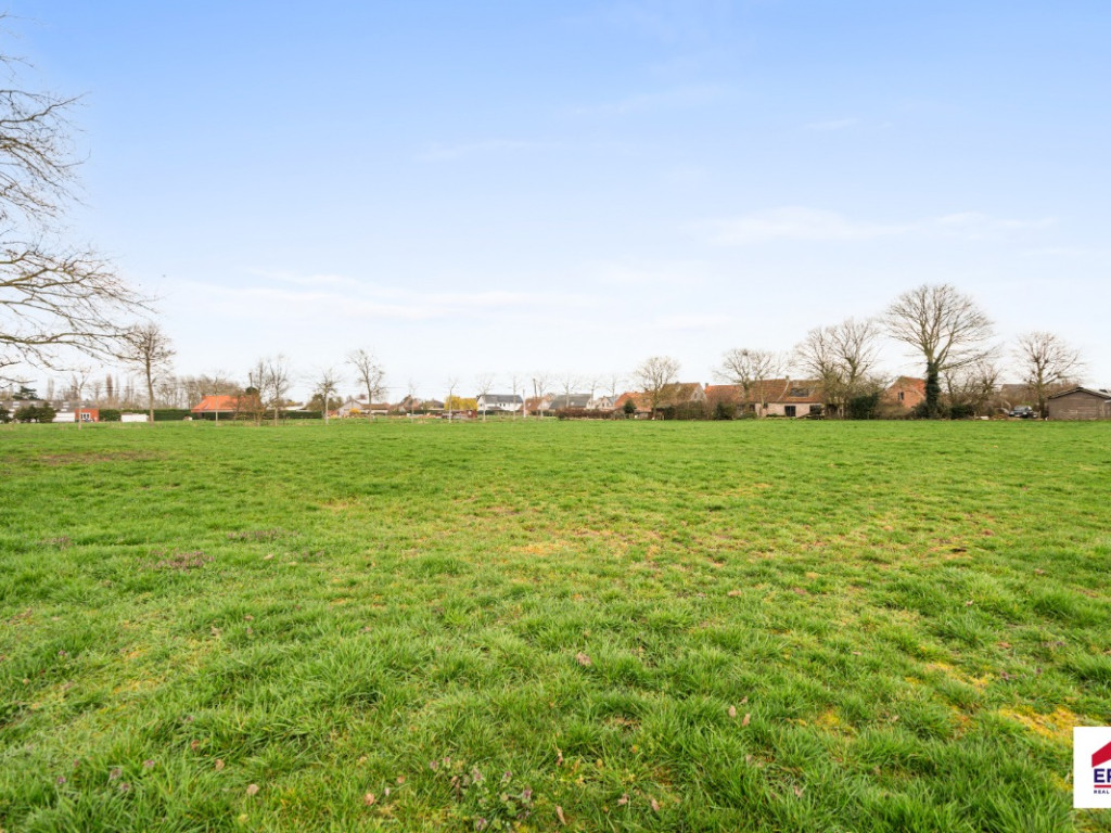 Haringgat - 10+ - - 8340