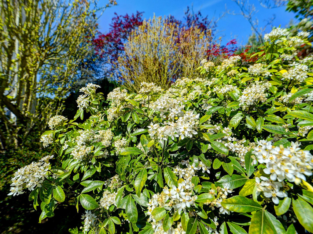 Reeboklaan - 16 - - 3080